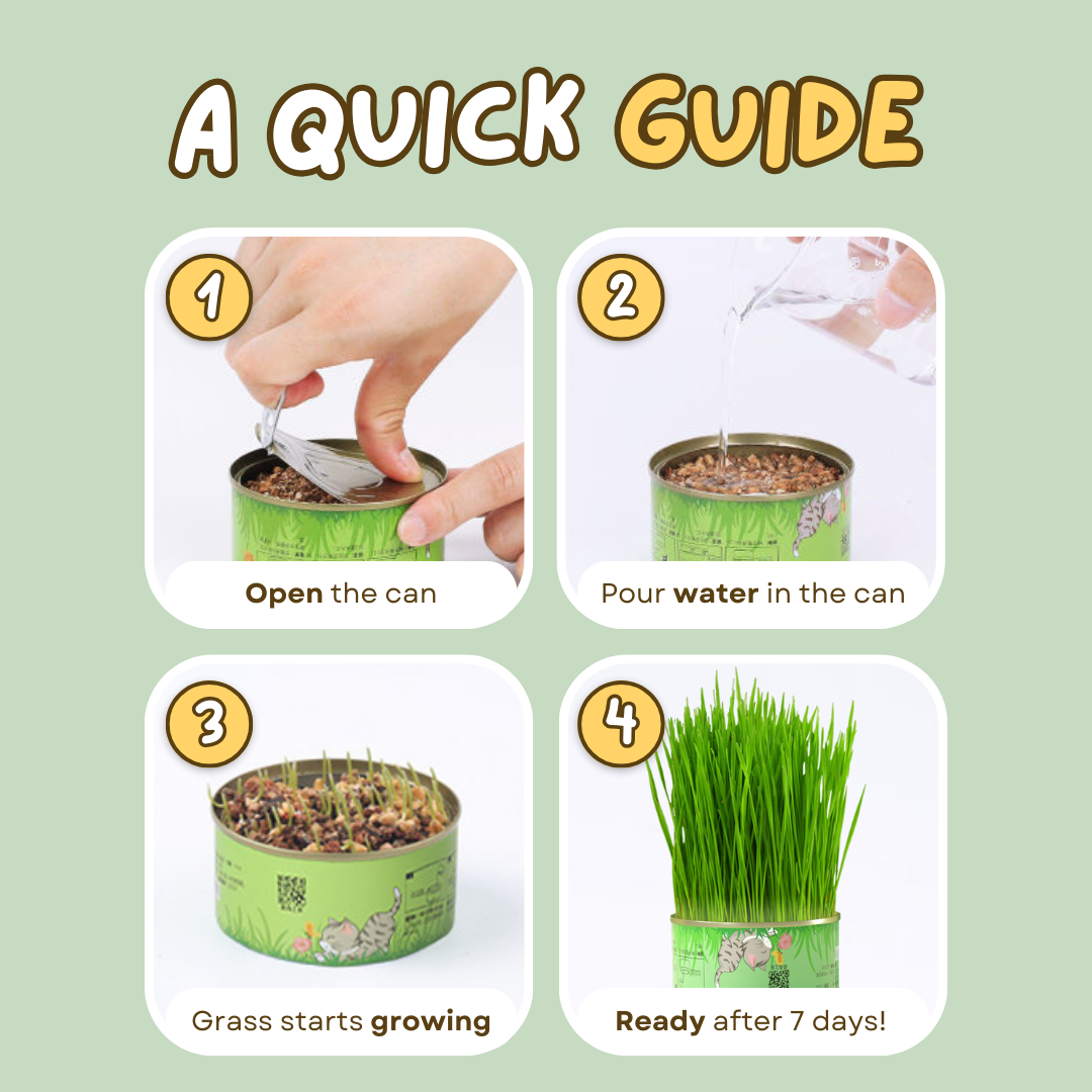 Fresh Canned Grass