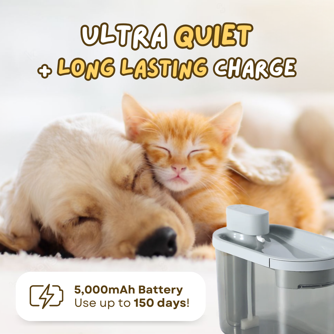 Wireless™ Pet Fountain