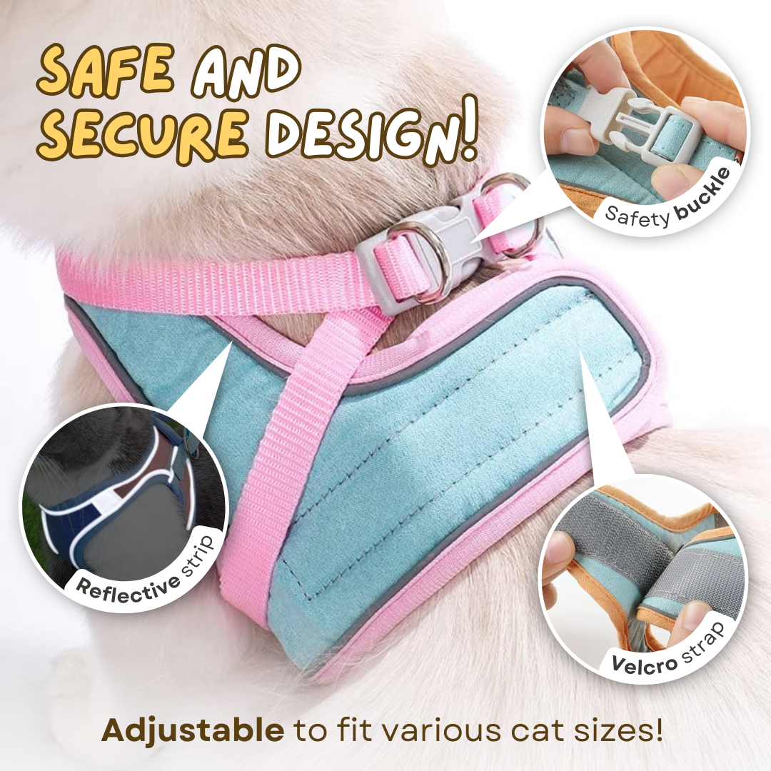 Cat Harness & Leash