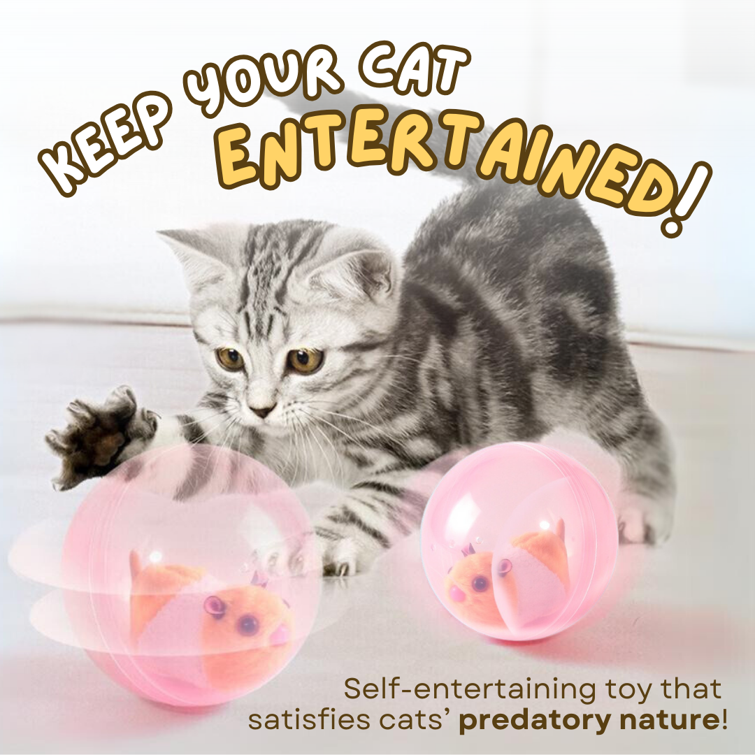 Hamster Toy