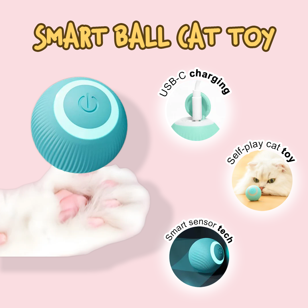 Play Paws Bundle