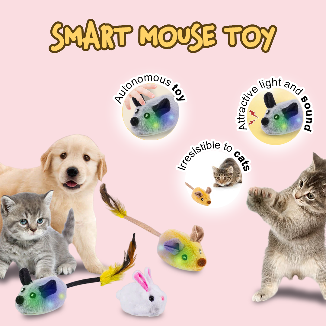 Play Paws Bundle