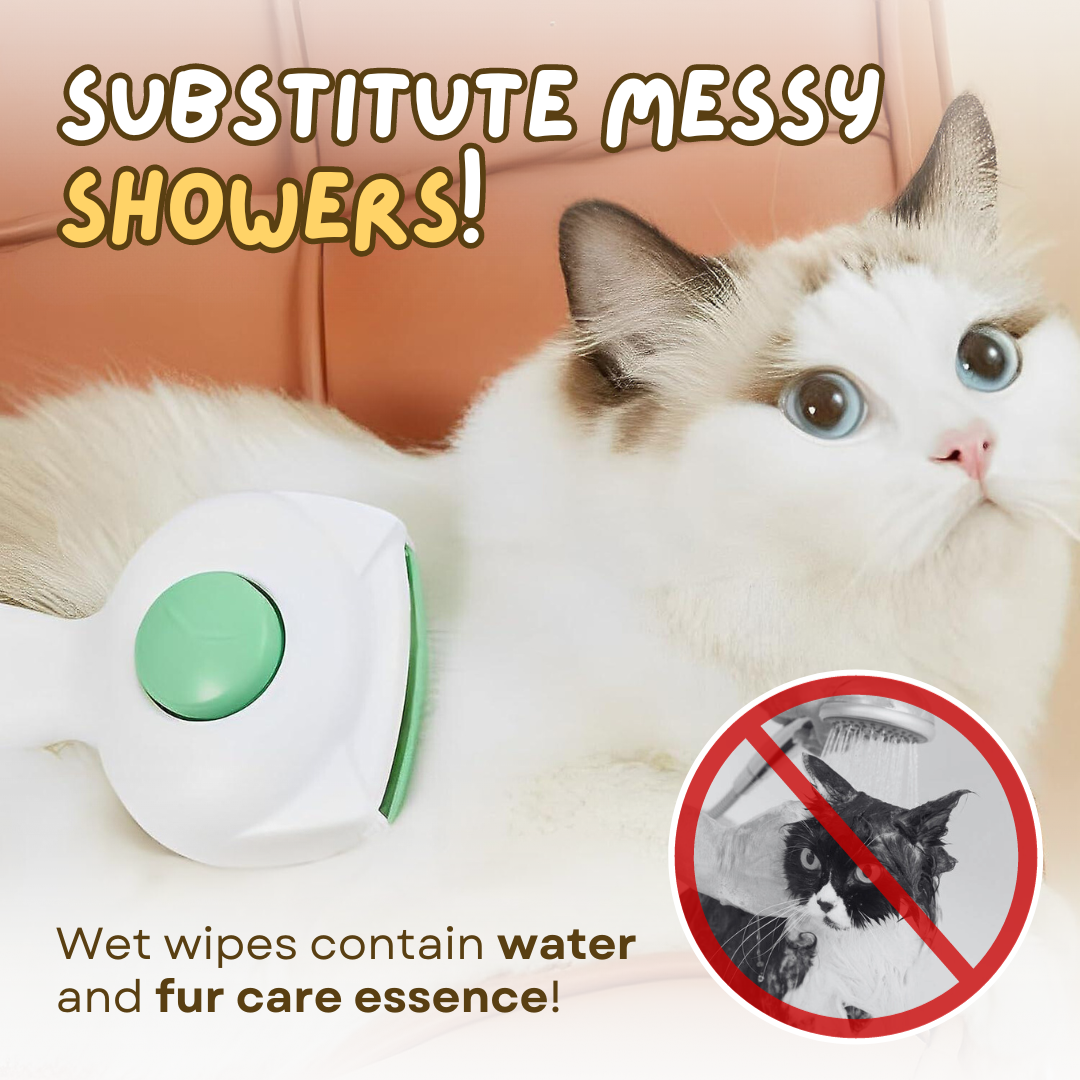 Easy Cleaning Brush