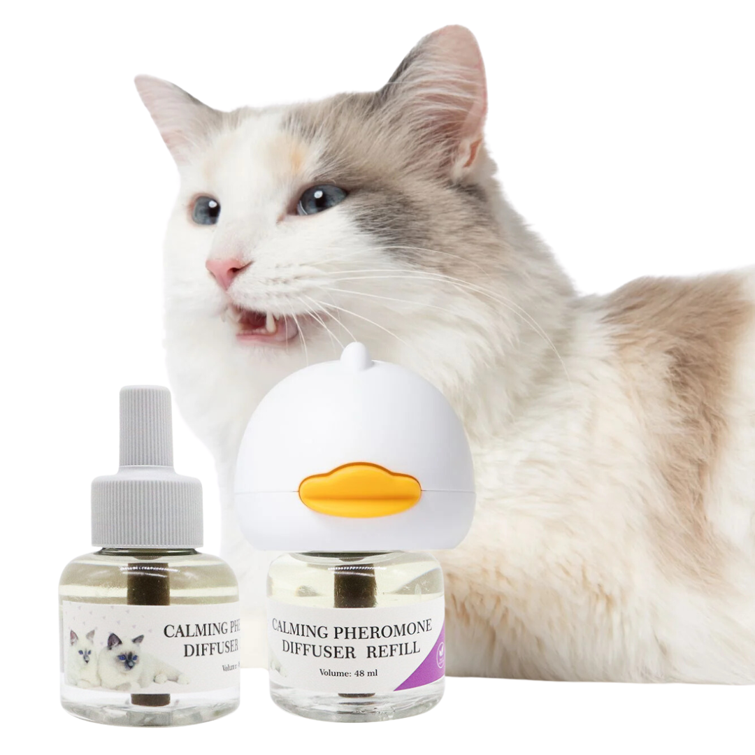 Cat best sale appeasing pheromone