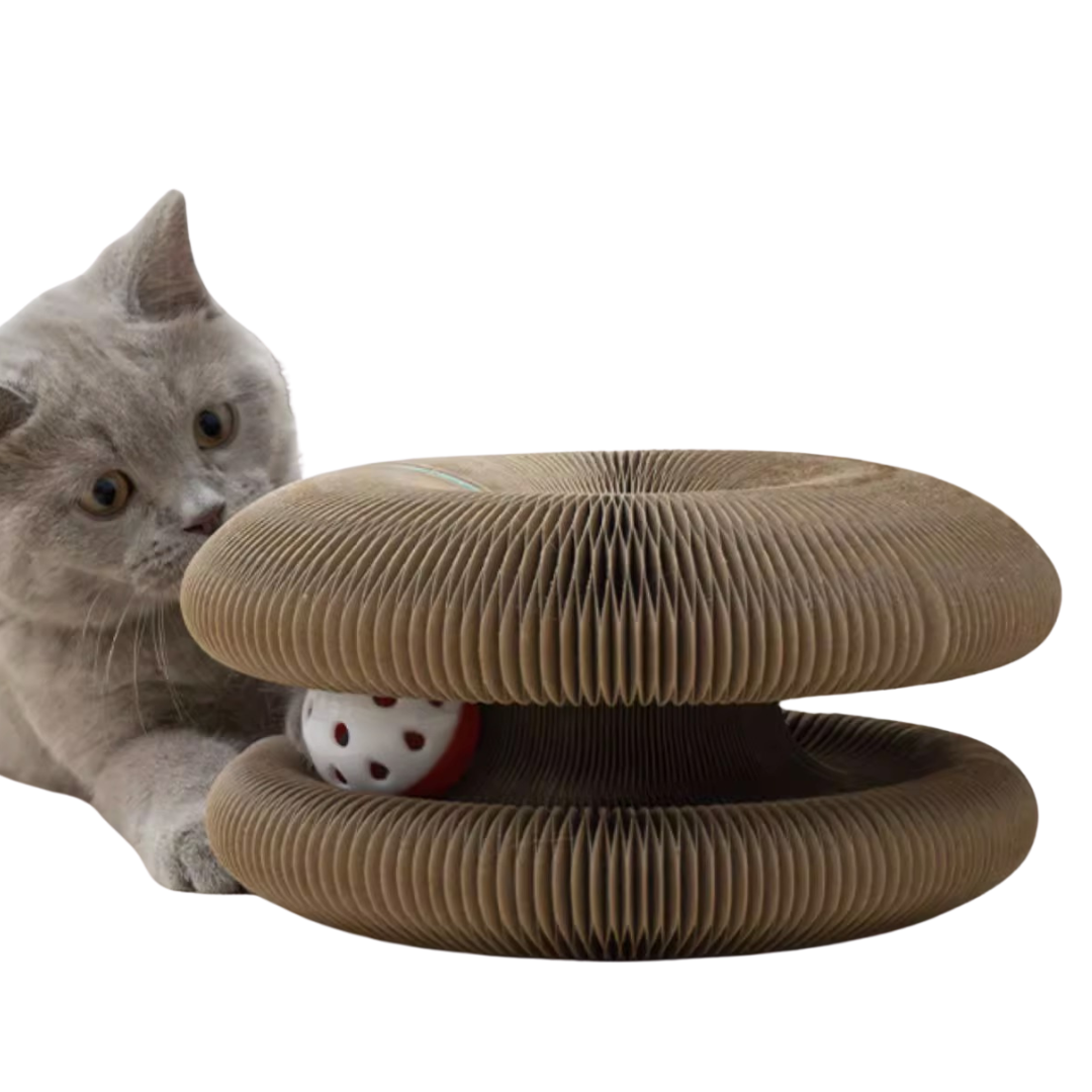 Cat Ball Toy