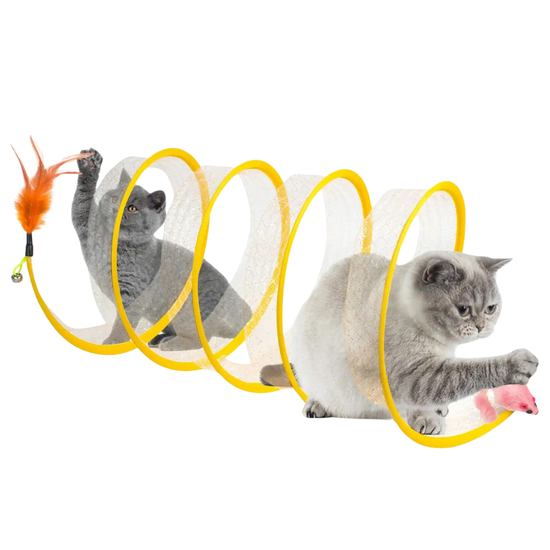 Open Tunnel Toy
