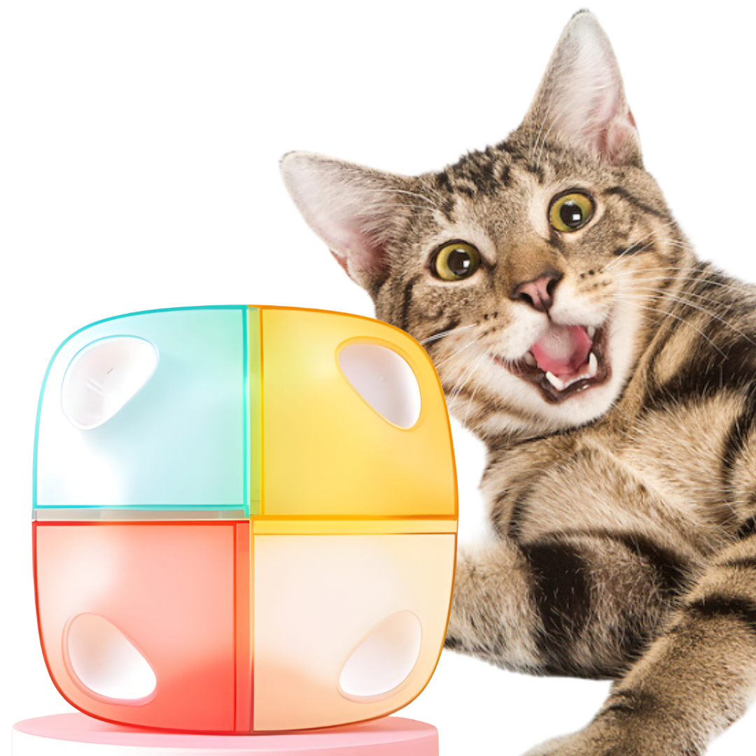 Smart Peek-A-Boo Toy