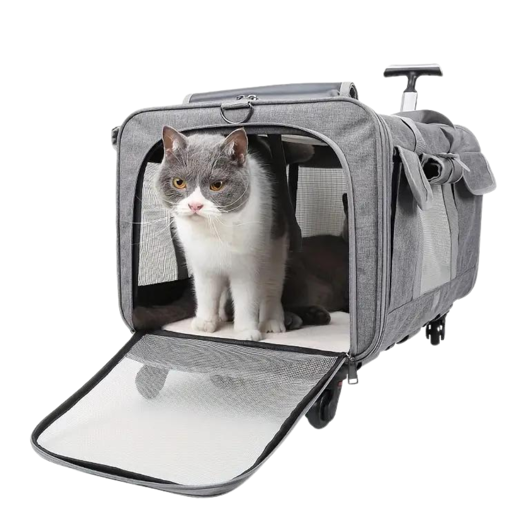 Cat Luggage