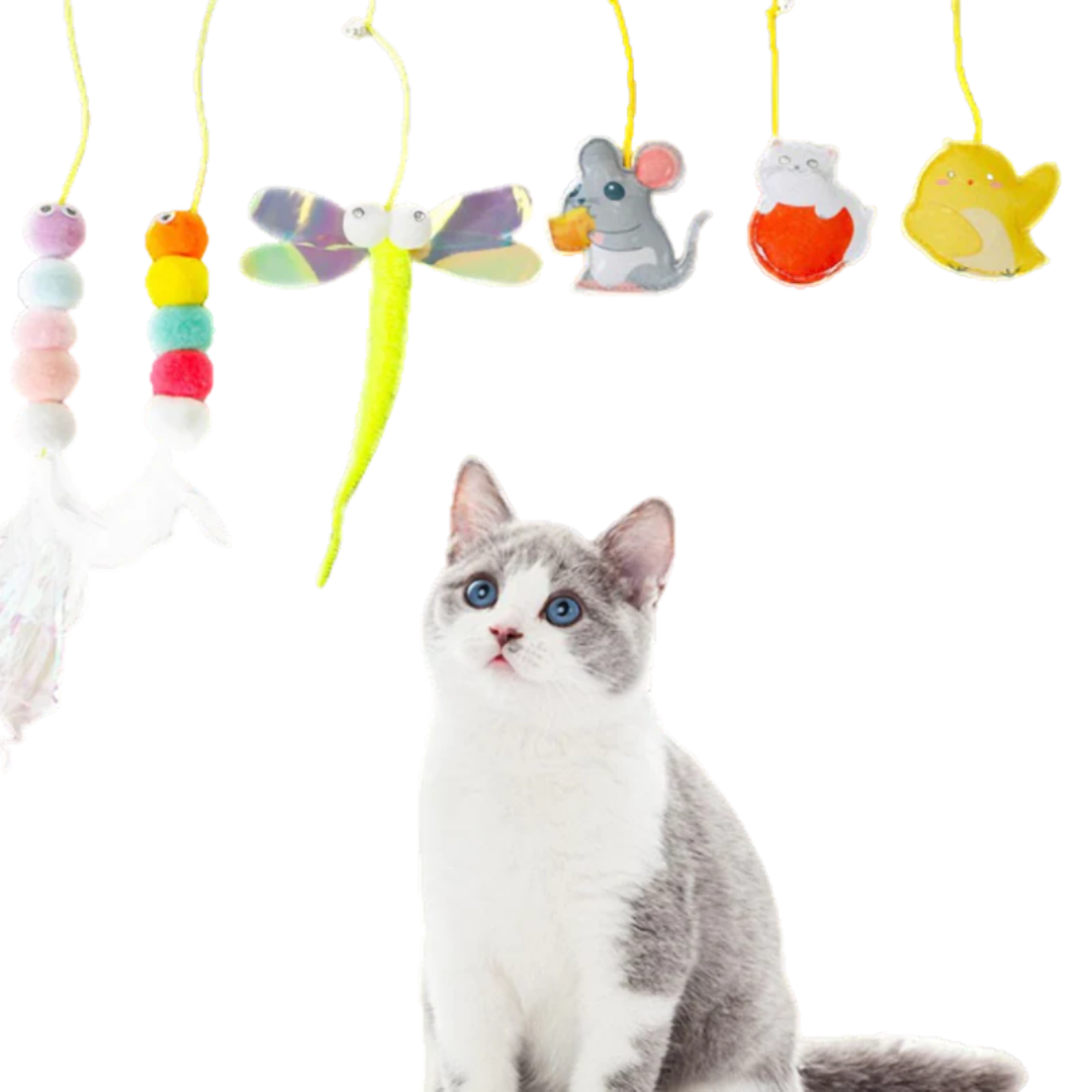 Dangling Cat Toy Set (6 PCS)