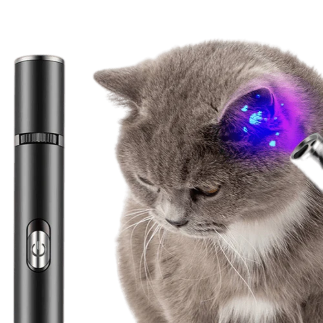 Laser pen for sales cats