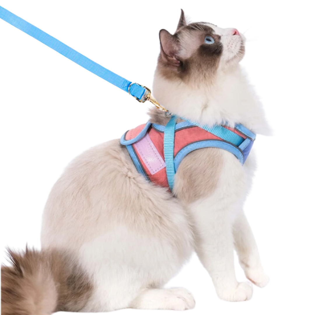 Cat Harness Leash
