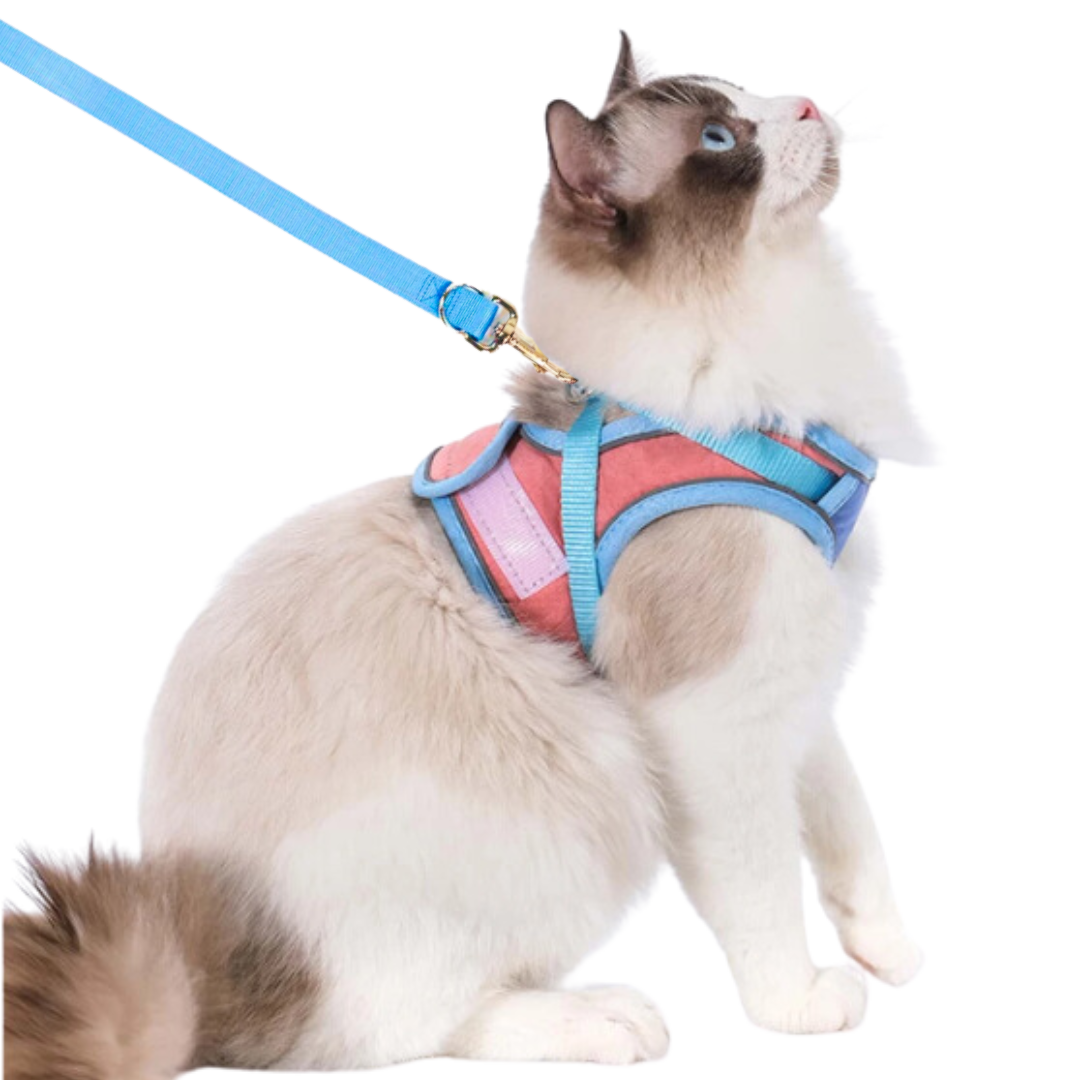 Cat Harness & Leash