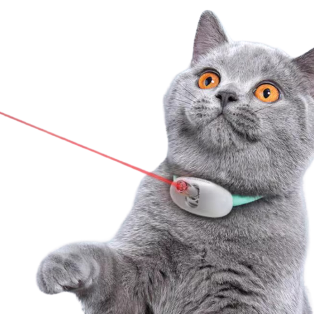 Cat Laser Collar