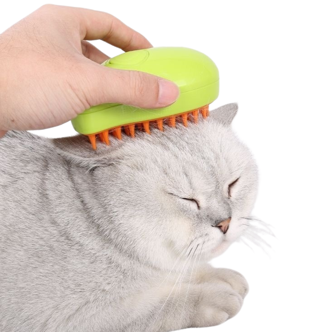 Misty Brush