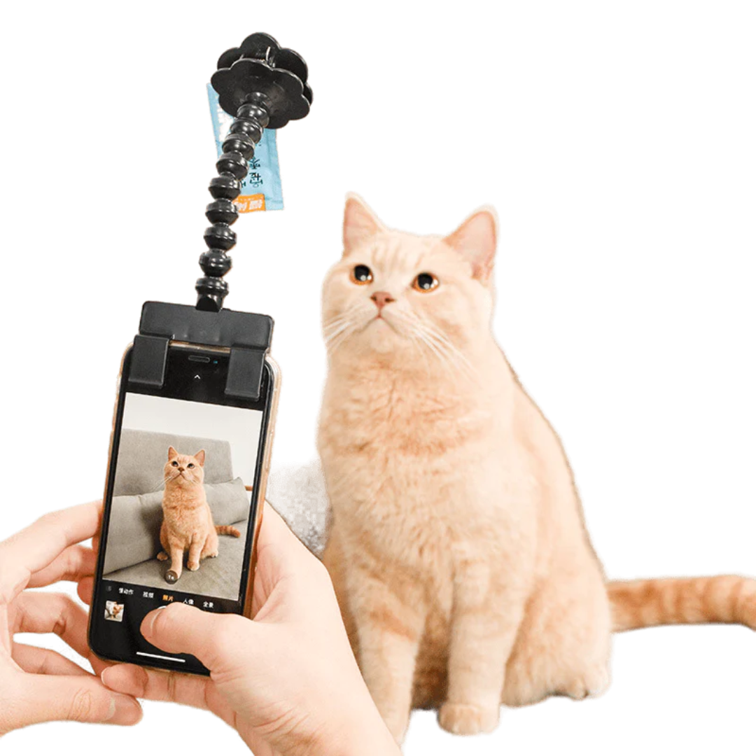 Snapcat Selfie Stick