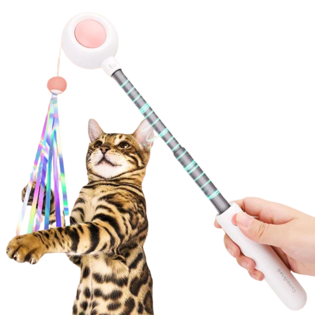 Dashing Laser Toy