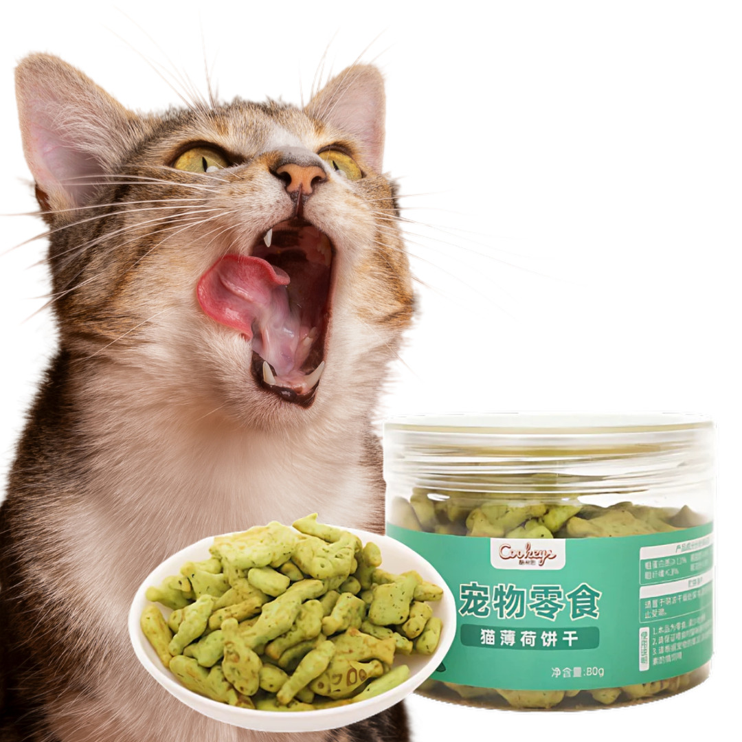 Cat Dental Treat