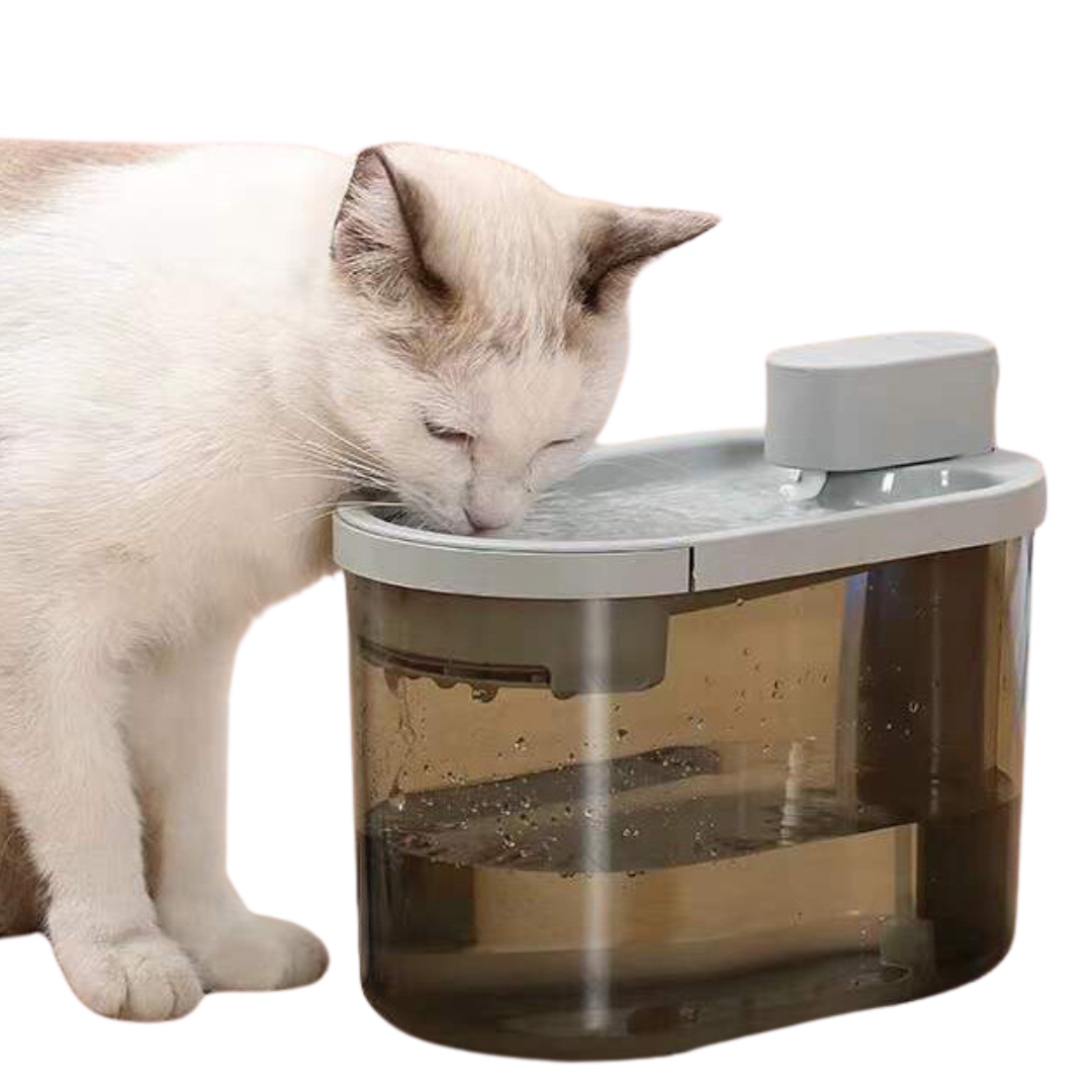Pet fountain sales cat water dispenser