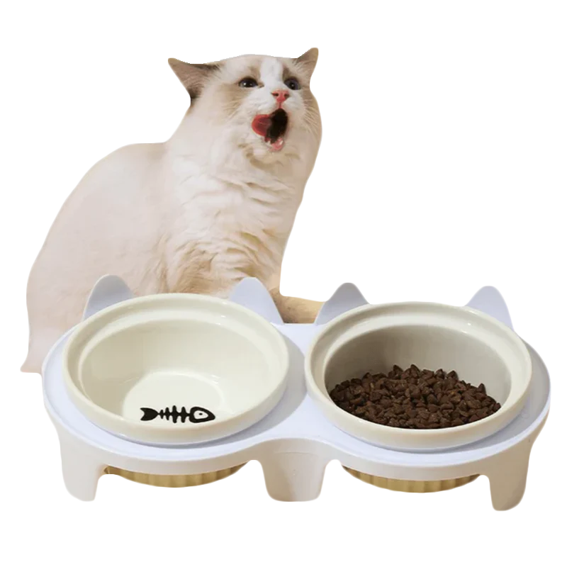 Elevated Ceramic Cat Bowl