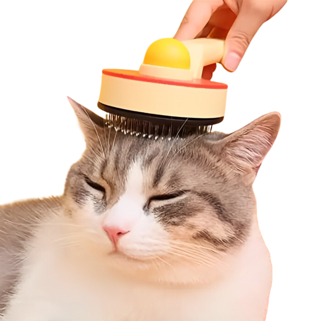 Ping Pong Brush