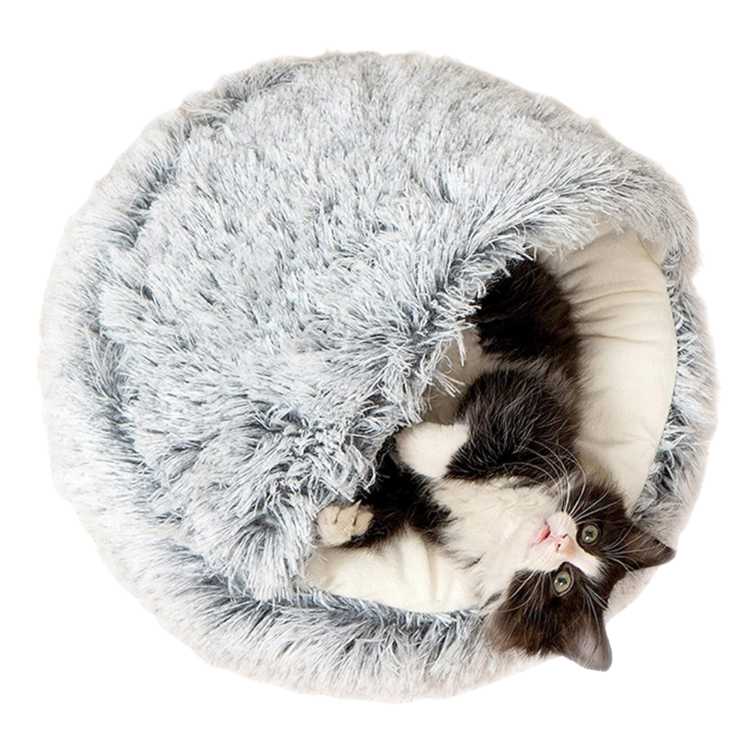 Seashell Bed