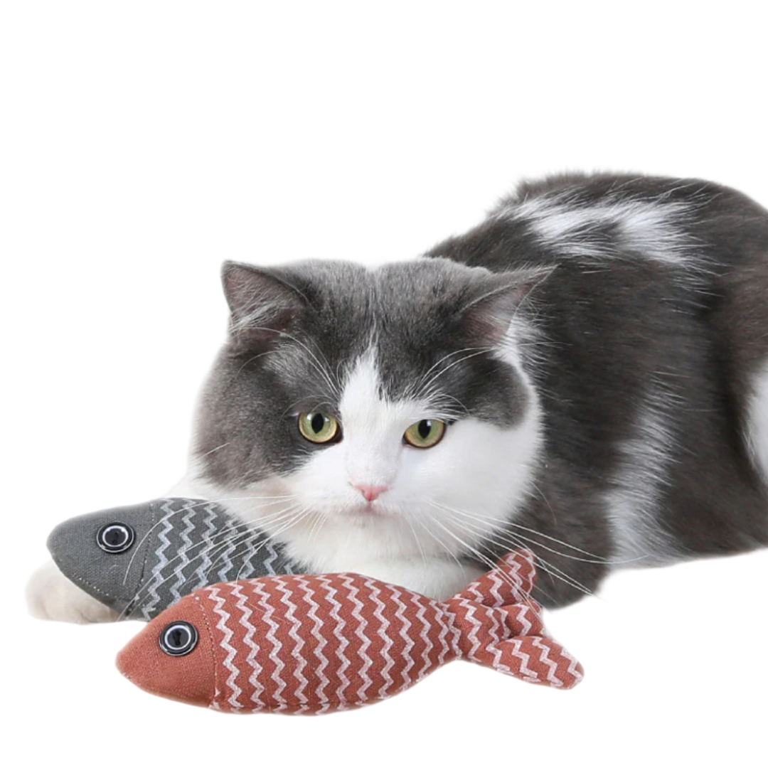 Cat Fish Toy