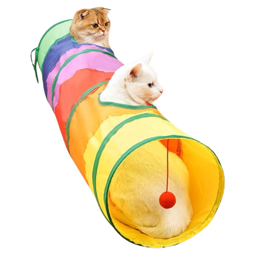 Rainbow Tunnel