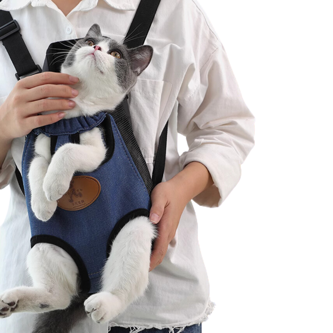 Cat top harness carrier