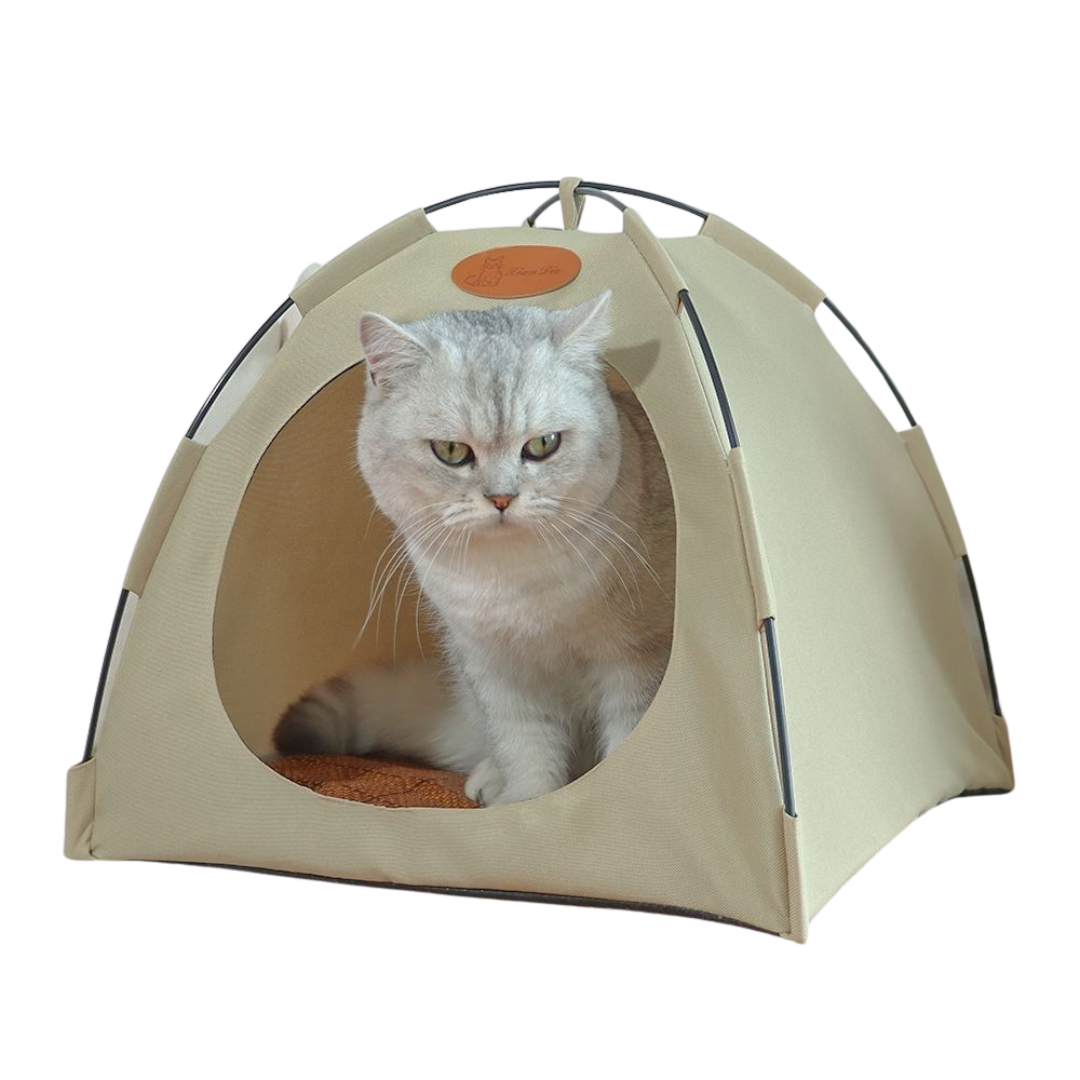 Cat tents top