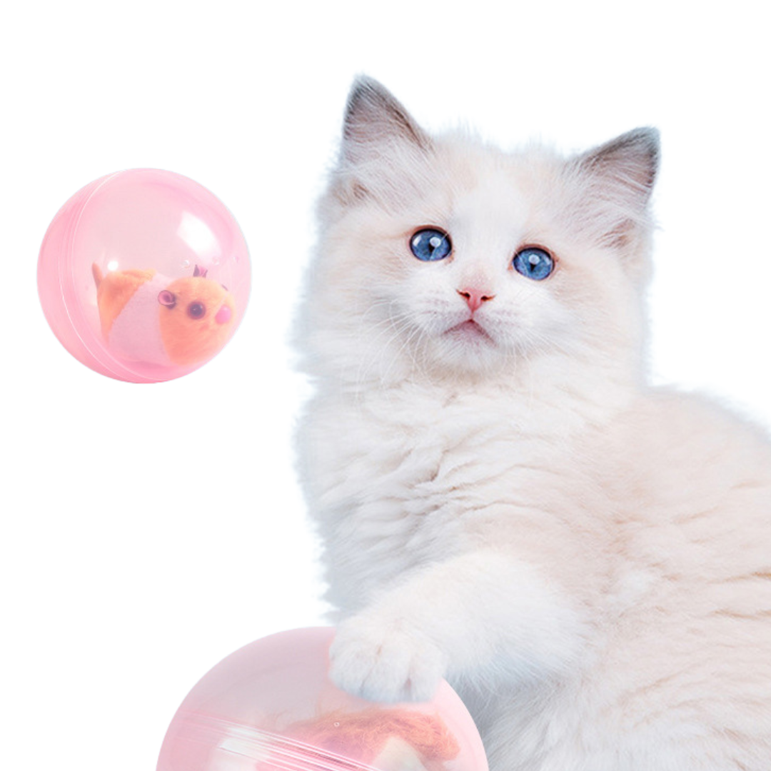 Hamster Toy