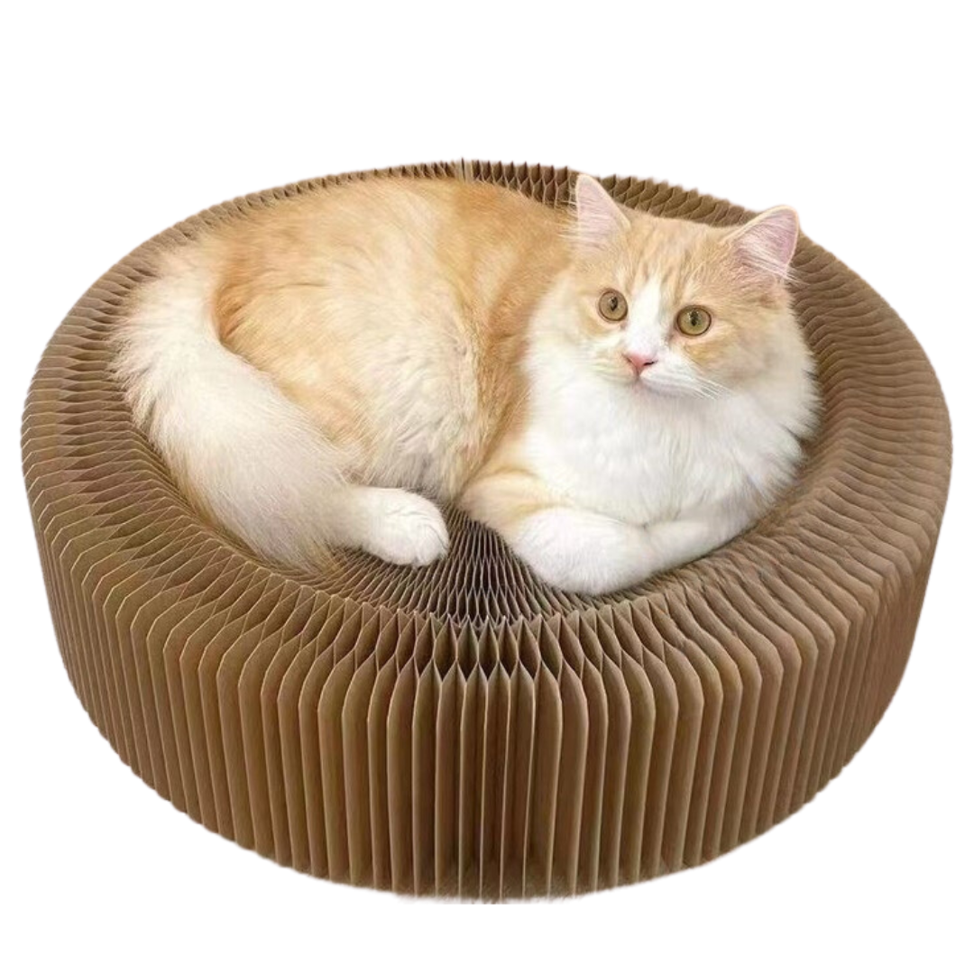 Magical Scratcher Bed