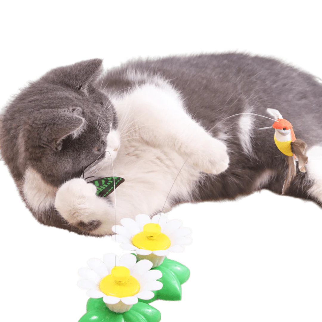 Buzzing Bird Toy