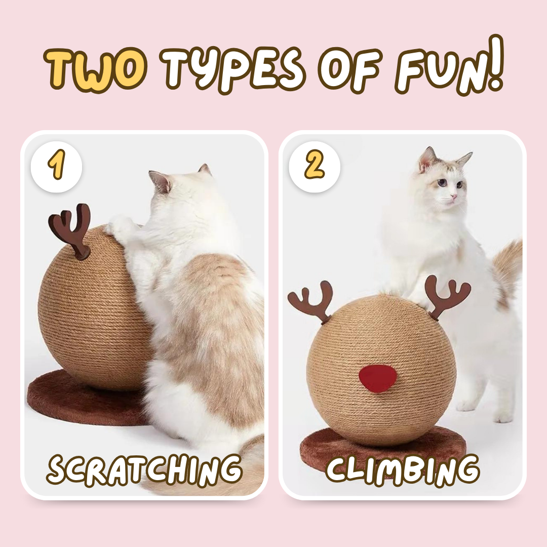Reindeer Scratcher