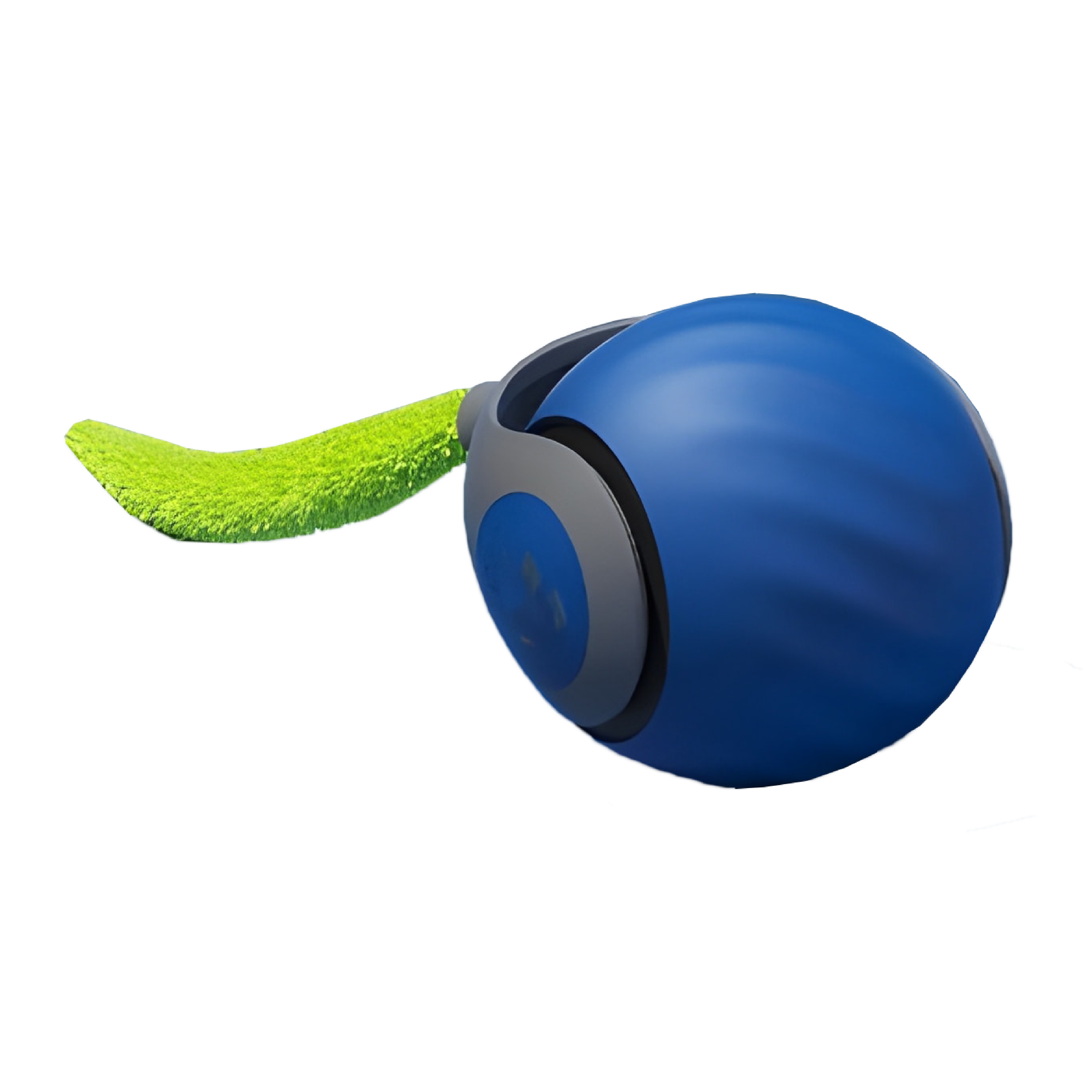 Speedy Tail Toy