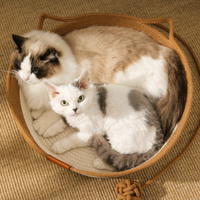 Cat Cozy Nest