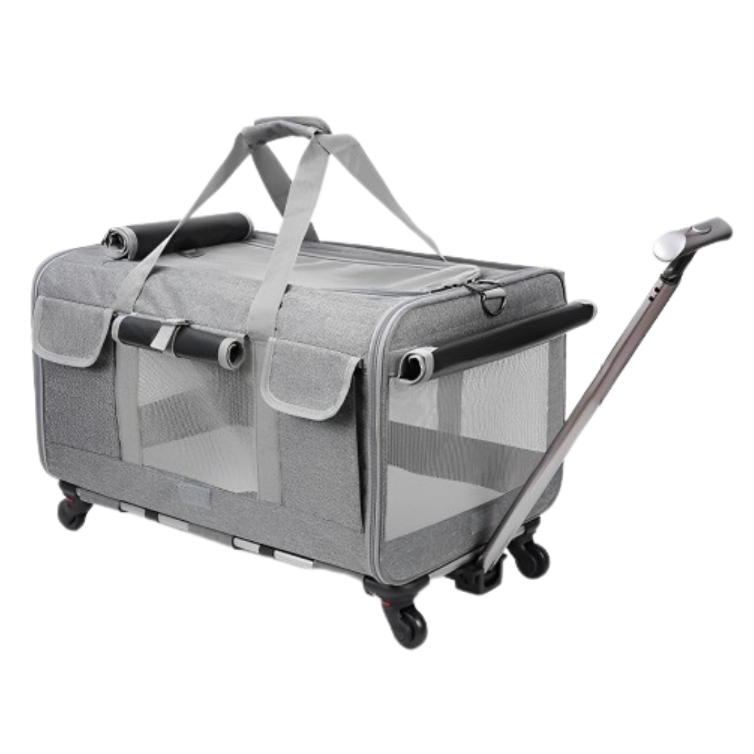 Cat Luggage