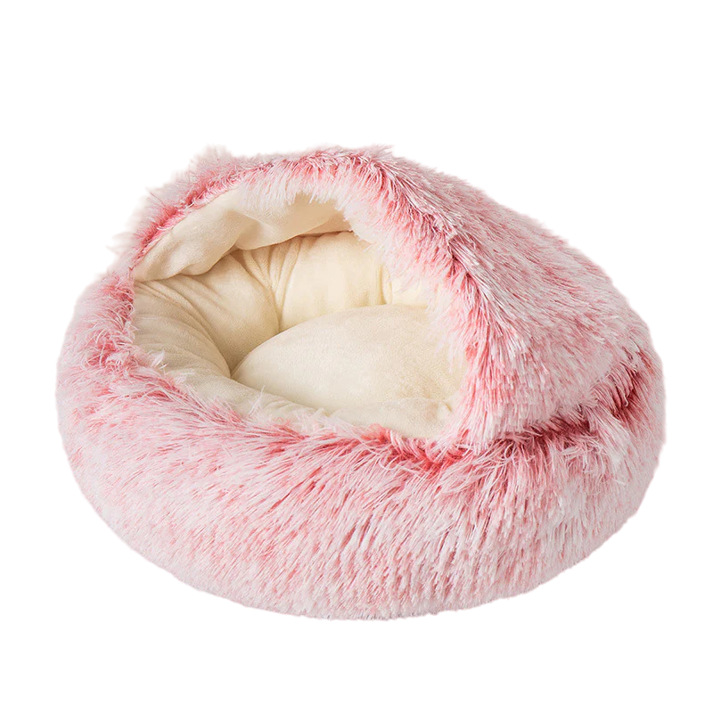 Seashell Bed