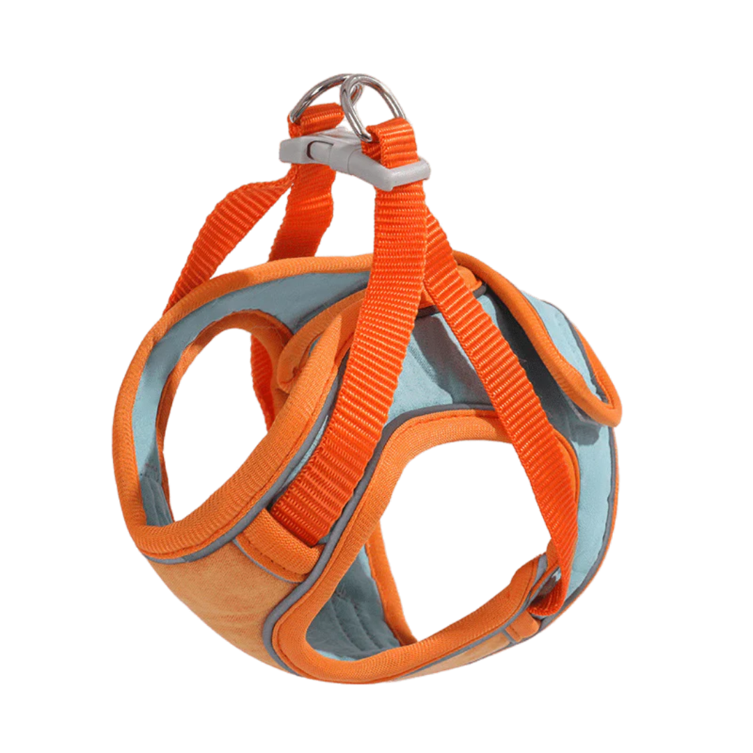 Cat Harness & Leash