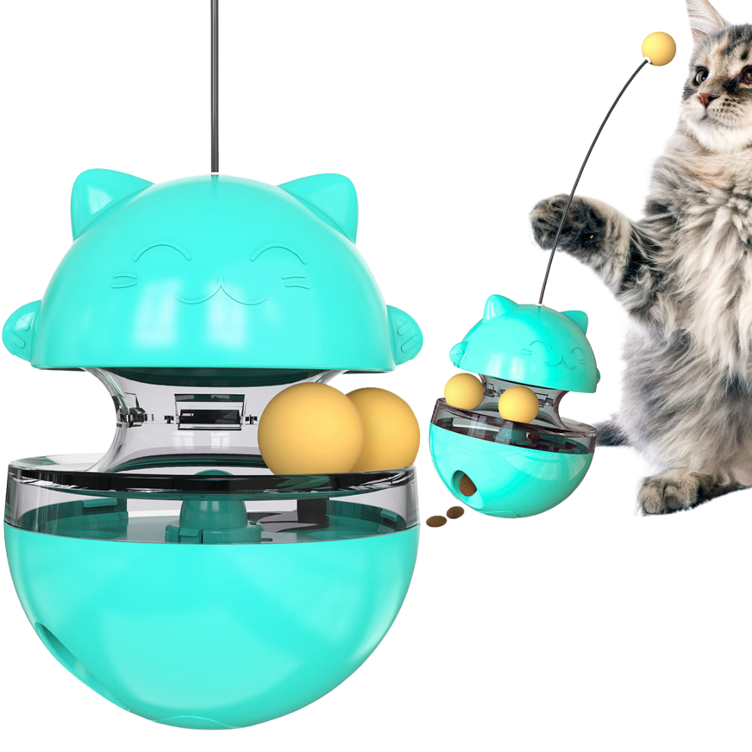 3-in-1 Wobbler Toy