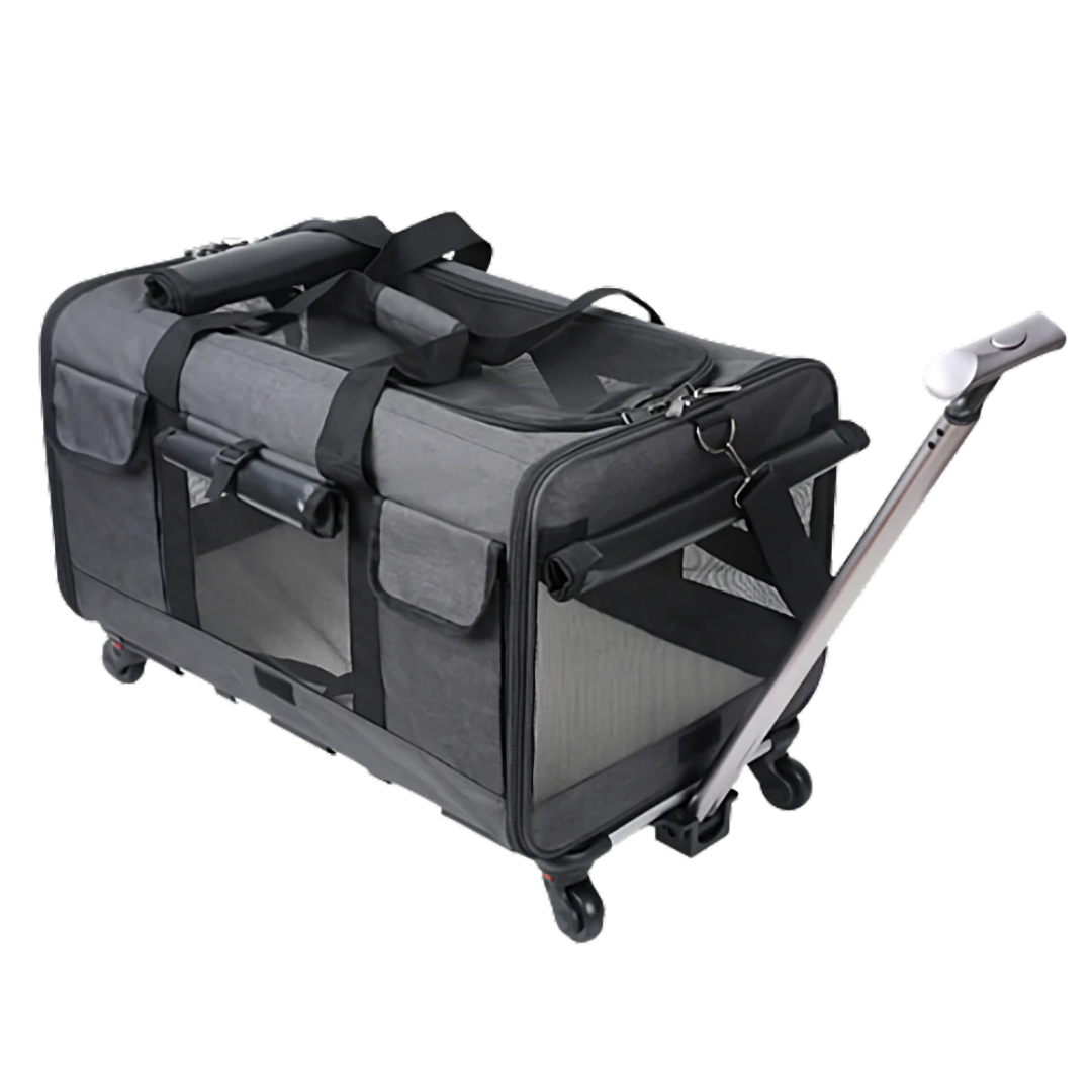 Cat Luggage