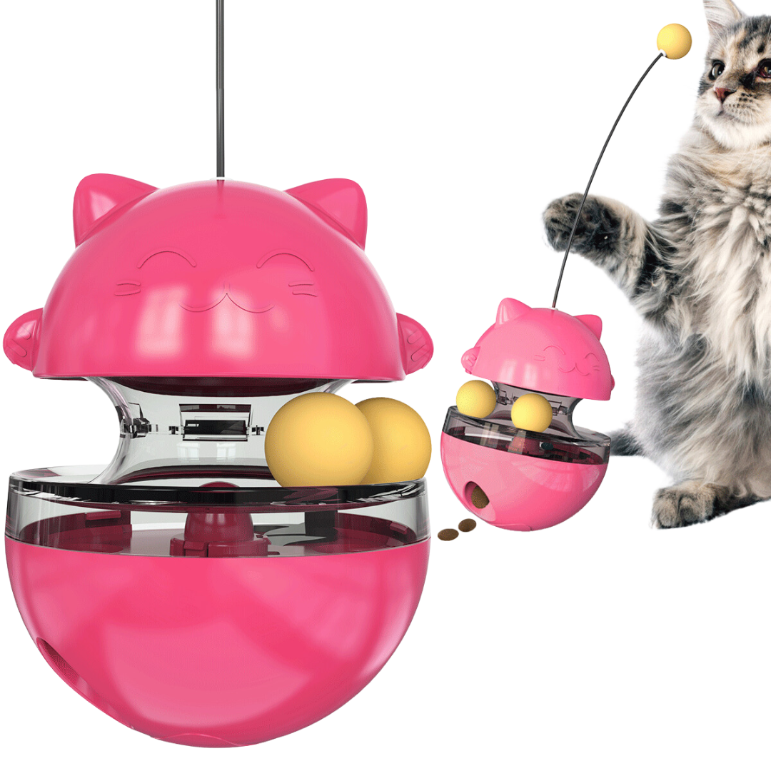 3-in-1 Wobbler Toy