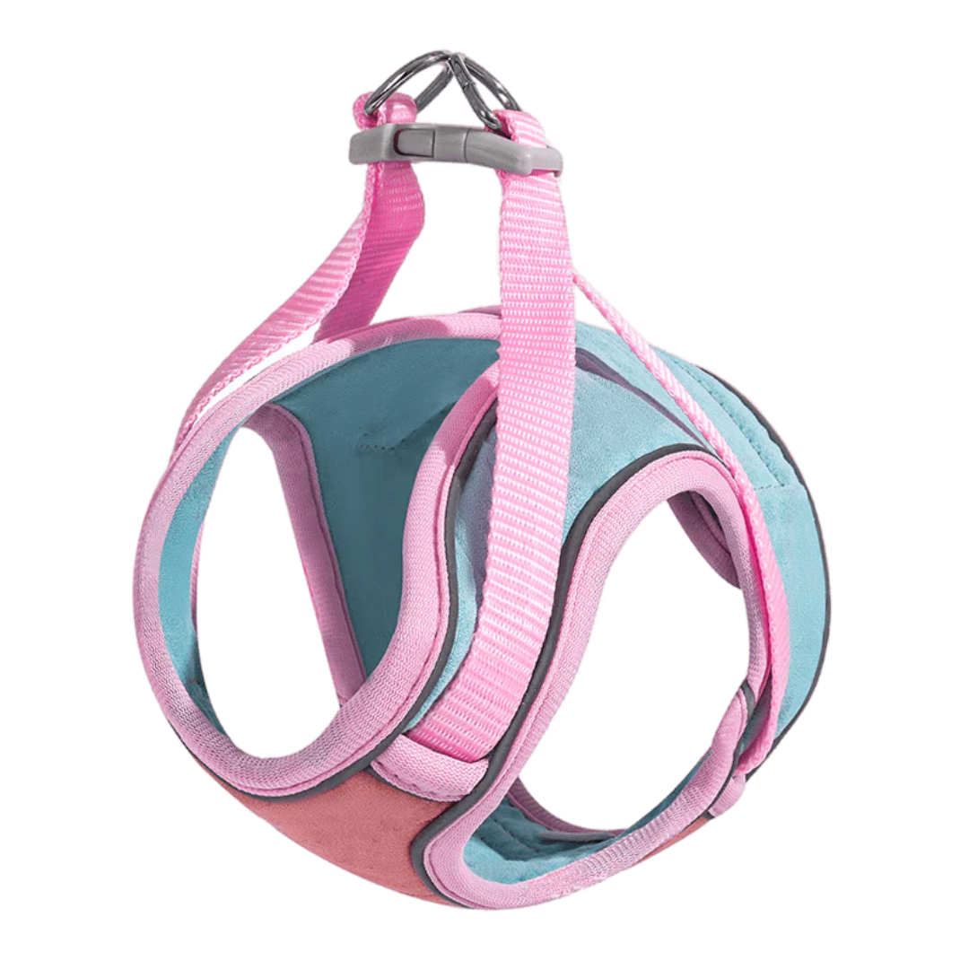 Cat Harness & Leash