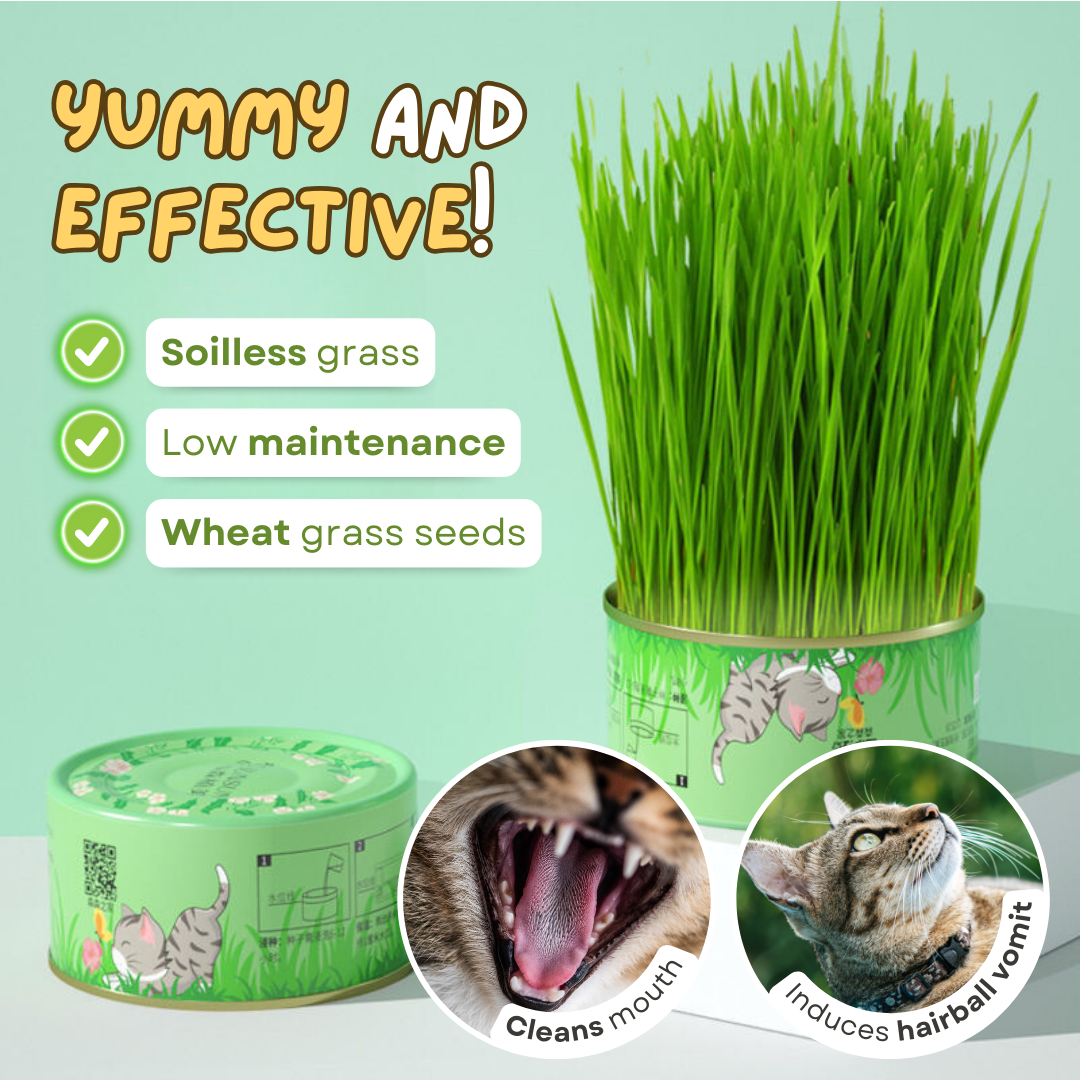 Fresh Canned Grass