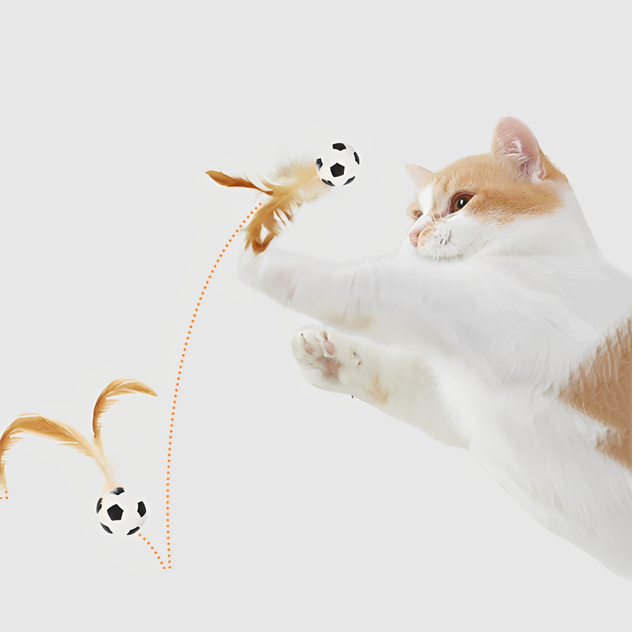 Bouncy Feather Toy
