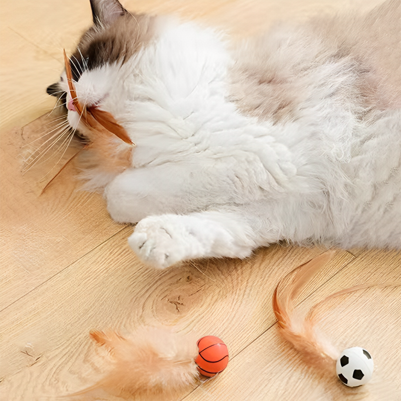 Bouncy Feather Toy