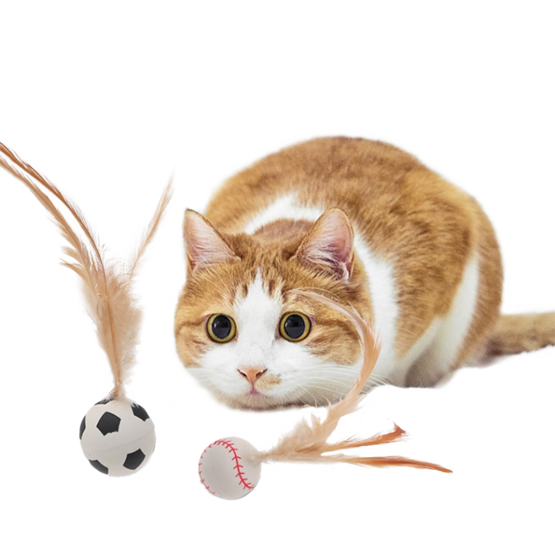Bouncy Feather Toy