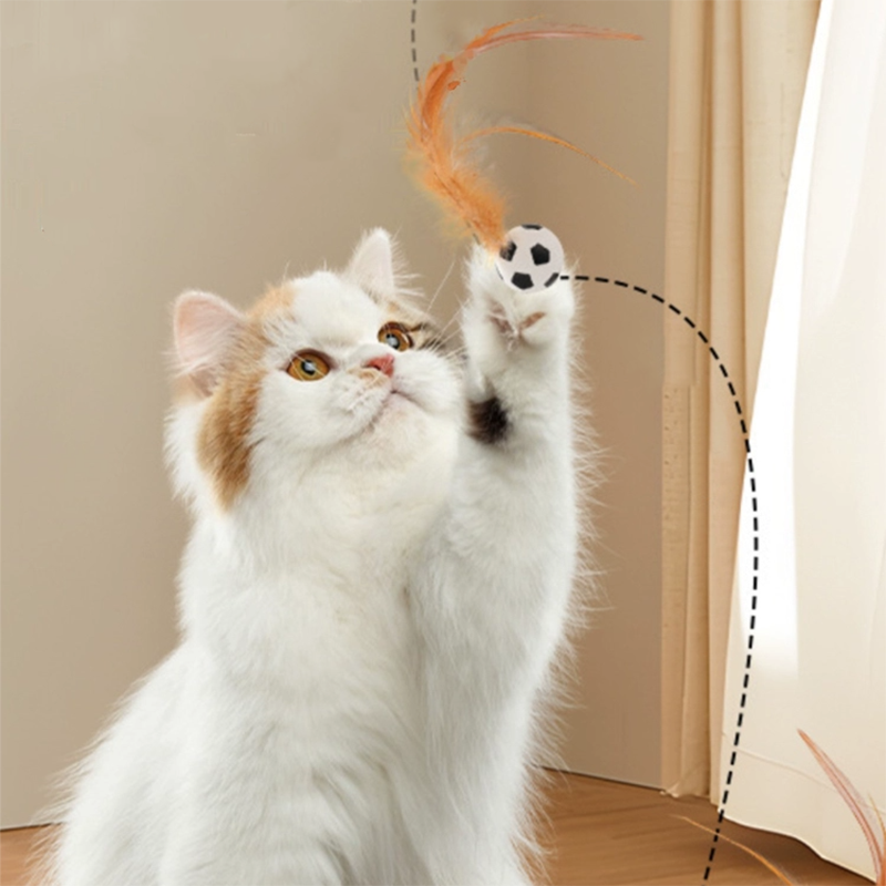 Bouncy Feather Toy