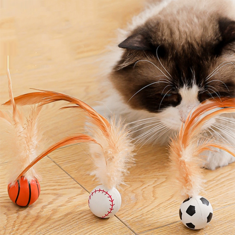 Bouncy Feather Toy