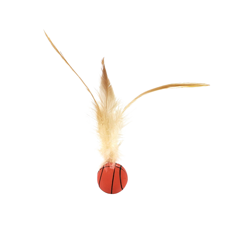 Bouncy Feather Toy