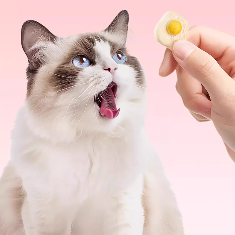 Cat Egg Treats